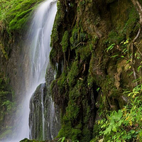 神农架神农顶风景区-小龙潭野考站