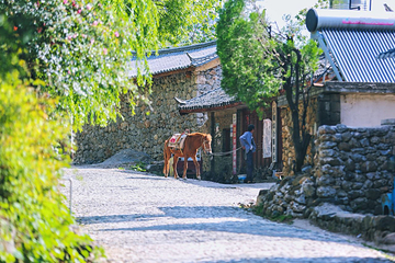 雪嵩村(玉湖村)第 36 张图片
