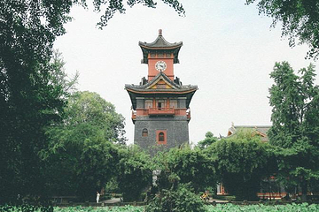 四川大学(望江校区)第 51 张图片
