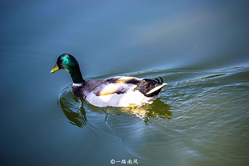 云台花园第 23 张图片