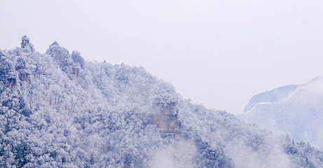 天子山风景区第 38 张图片