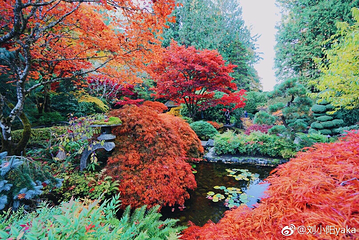 布查德花园第 31 张图片