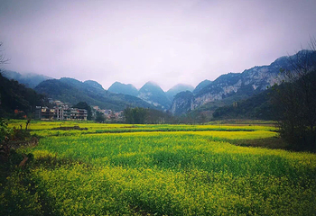 坝美世外桃源景区第 15 张图片