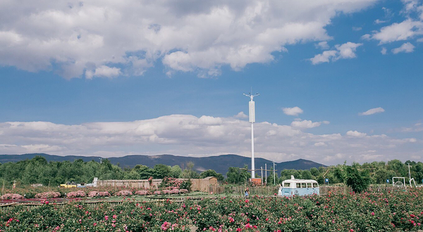 花伴一生玫瑰庄园