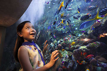 三亚亚特兰蒂斯失落的空间水族馆第 67 张图片