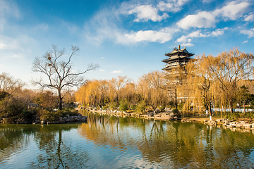 大明湖景区第 26 张图片