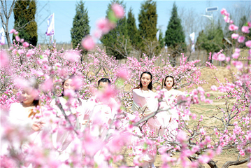 莱芠小镇第 16 张图片