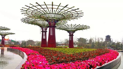 梅湖景区花博园第 25 张图片