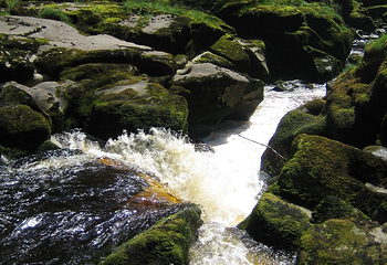 Lost River Gorge & Boulder Caves第 21 张图片