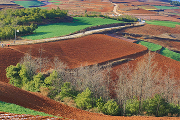 东川红土地第 29 张图片