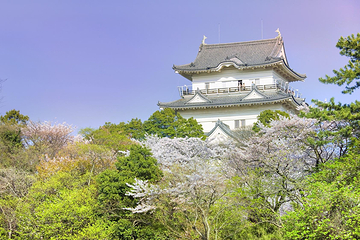 小田原城第 5 张图片
