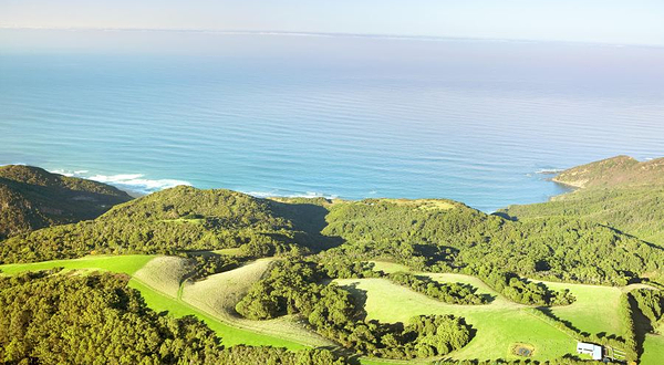 优柔薰衣草庄园