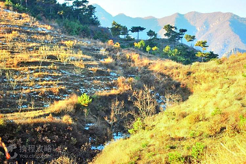 八仙山自然保护区第 2 张图片