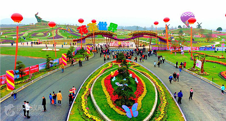 花花世界第 10 张图片
