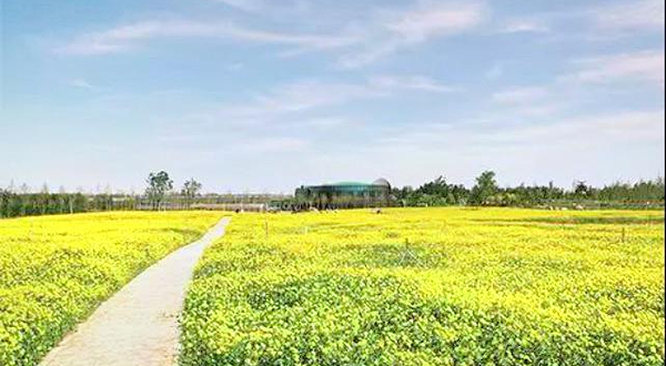 神农现代农业示范园