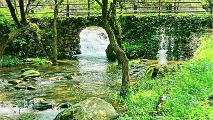 白石湾风景区第 14 张图片
