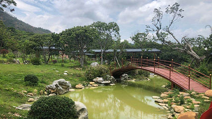 惠州蓝天航空飞行营地第 6 张图片