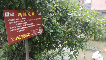 庐山西海将军峡风景区第 12 张图片
