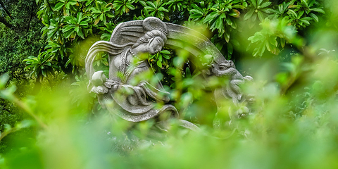 南风古灶第 31 张图片