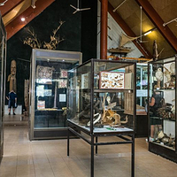 瓦努阿图国家博物馆