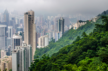 太平山顶第 47 张图片