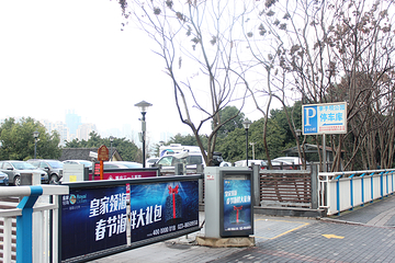 李子坝公园第 9 张图片