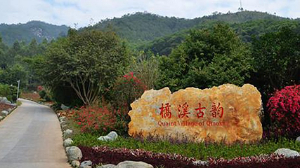 雁南飞茶田景区-桥溪古韵第 31 张图片