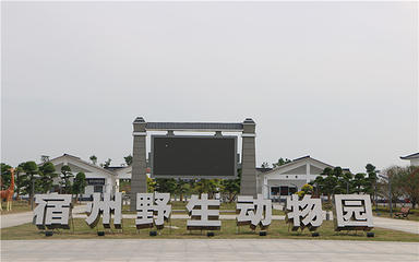 宿州野生动物园第 101 张图片