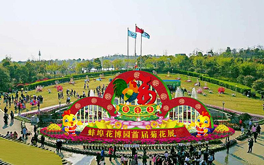 蚌埠花博园第 29 张图片