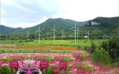 五色谷萌宠乐园第 4 张图片