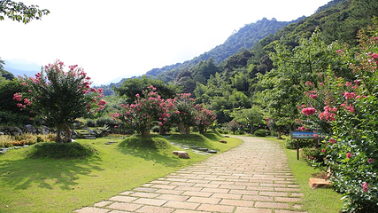 雁南飞茶田景区-桥溪古韵第 23 张图片