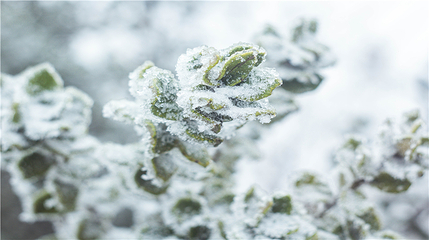玉舍雪山滑雪场第 54 张图片