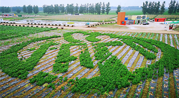 沈阳宝岛阿美族热带农业博览园