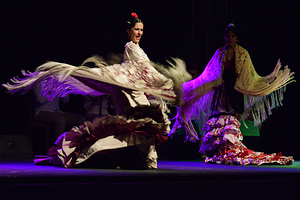 拉斯文塔斯弗拉门戈表演