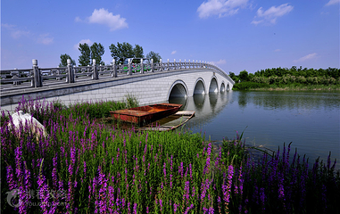 莲花湖湿地-中都民俗馆第 5 张图片