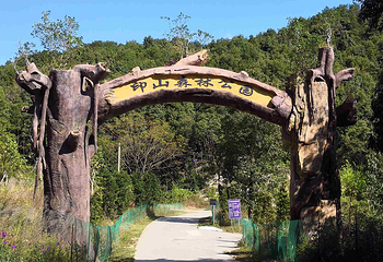 印山国家森林康养基地第 1 张图片