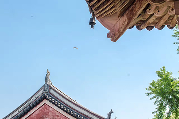 海宁潮第 9 张图片