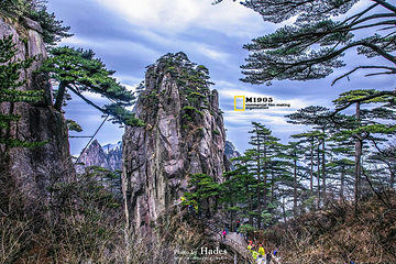 始信峰第 8 张图片