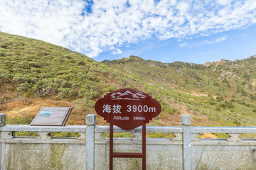 苍山第 21 张图片