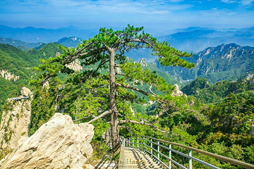 尧山风景区第 62 张图片