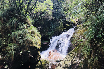 千佛山景区第 95 张图片