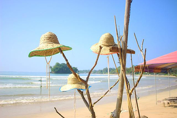 美蕊沙海滩第 14 张图片