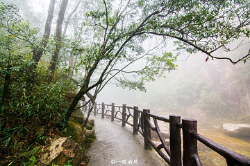莽山旅游区国家森林公园第 59 张图片