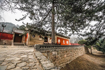 佛光寺第 11 张图片