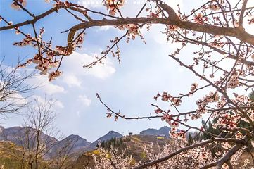 齐山风景区第 11 张图片