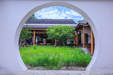 塘栖古镇第 51 张图片