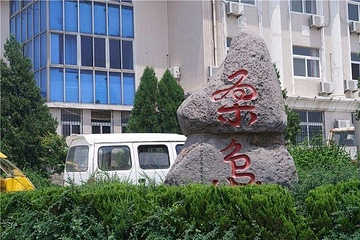 桑岛第 11 张图片