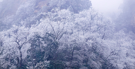天子山风景区第 43 张图片