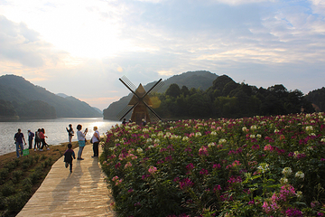 石门国家森林公园第 23 张图片
