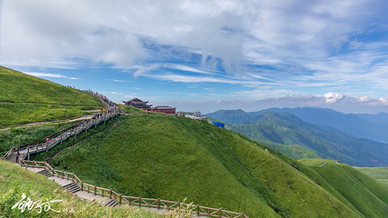 高山草甸第 7 张图片